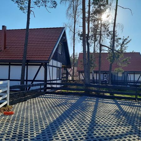 Domek Na Gwizdowce Kaszuby Villa Zalakowo Ngoại thất bức ảnh